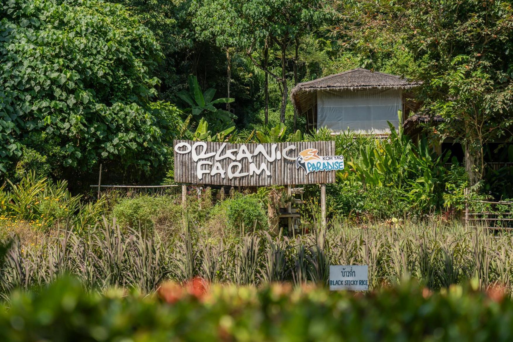 Paradise Kohyao (Adults Only) Ko Yao Noi Εξωτερικό φωτογραφία